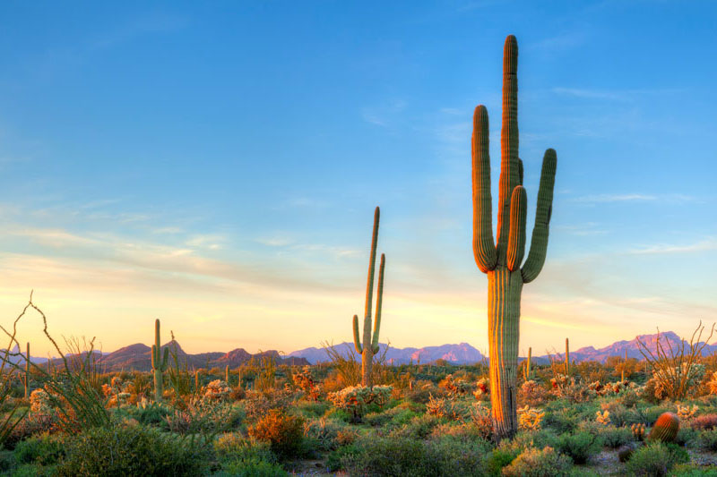 Contact Our Yuma, AZ Hearing Aid Office Burgess Hearing Aids